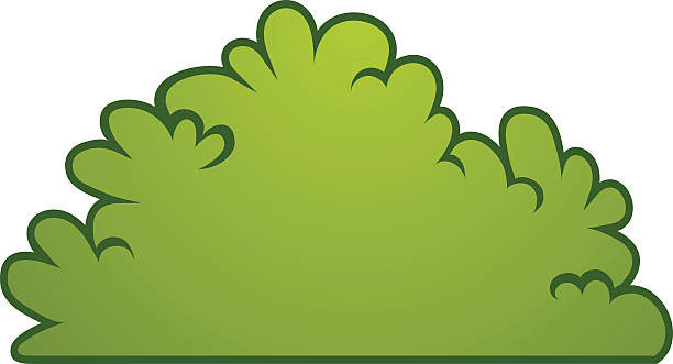 Detail Bush Plant Clip Art Nomer 36