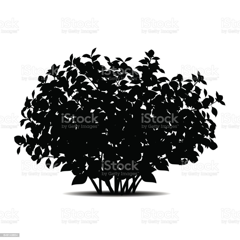 Detail Bush Silhouette Png Nomer 14