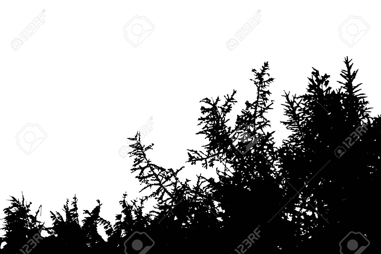 Detail Bush Silhouette Png Nomer 48