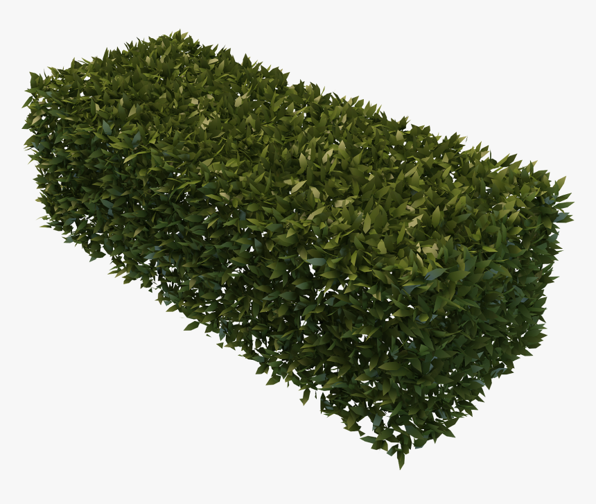 Detail Bush Transparent Nomer 3