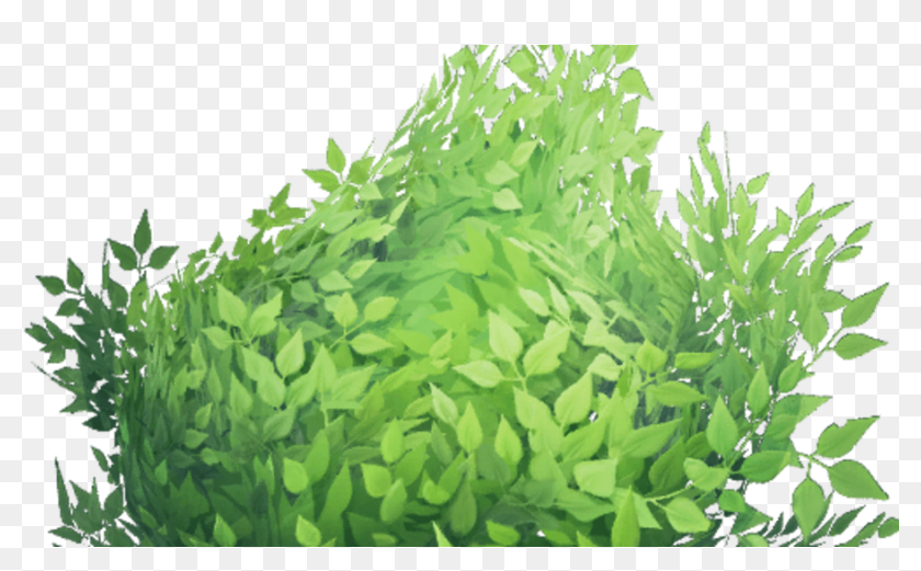 Detail Bush Transparent Nomer 37