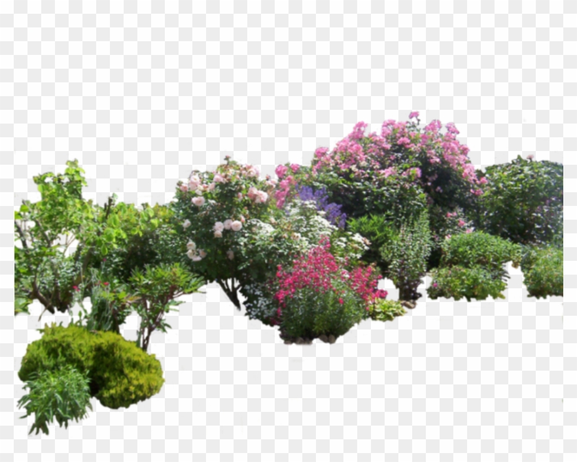 Detail Bush Transparent Png Nomer 37