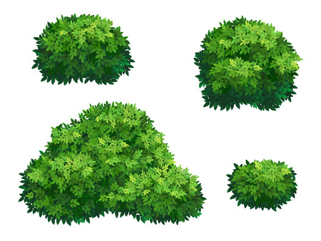 Detail Bushes Illustration Nomer 13