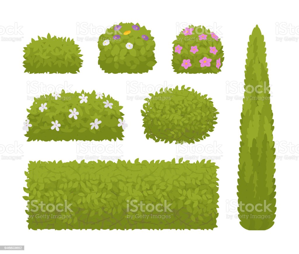 Detail Bushes Illustration Nomer 18