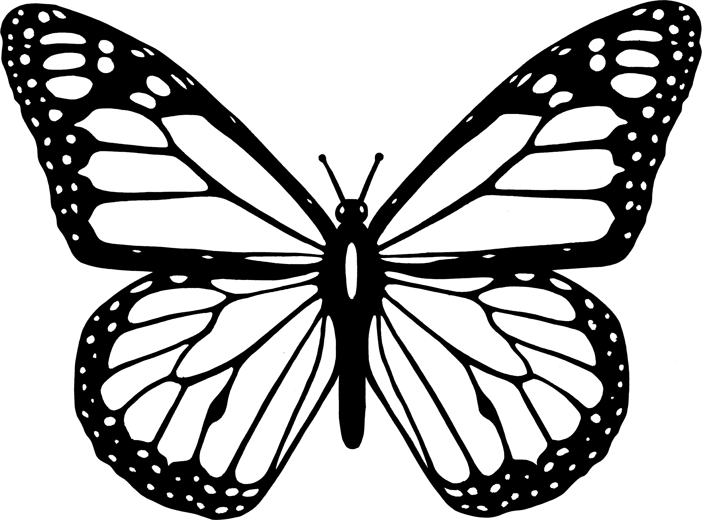 Detail Buterfly Clipart Nomer 26