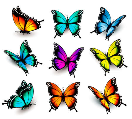 Detail Buterfly Clipart Nomer 34