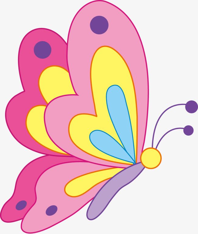 Detail Buterfly Clipart Nomer 35