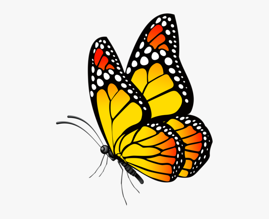 Detail Buterfly Clipart Nomer 5