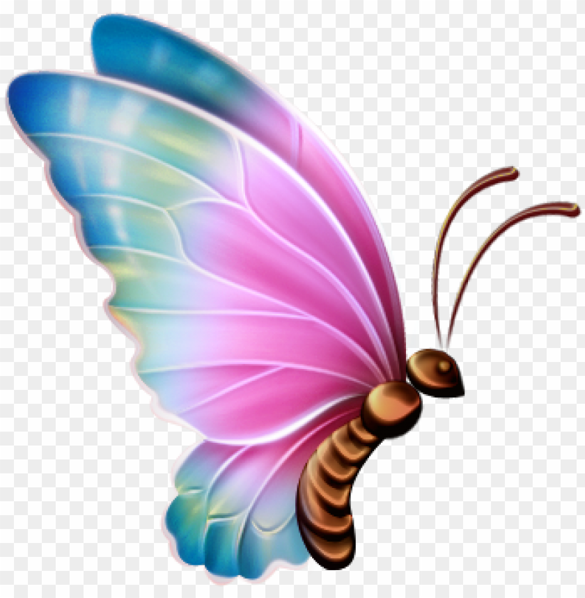 Detail Buterfly Clipart Nomer 40