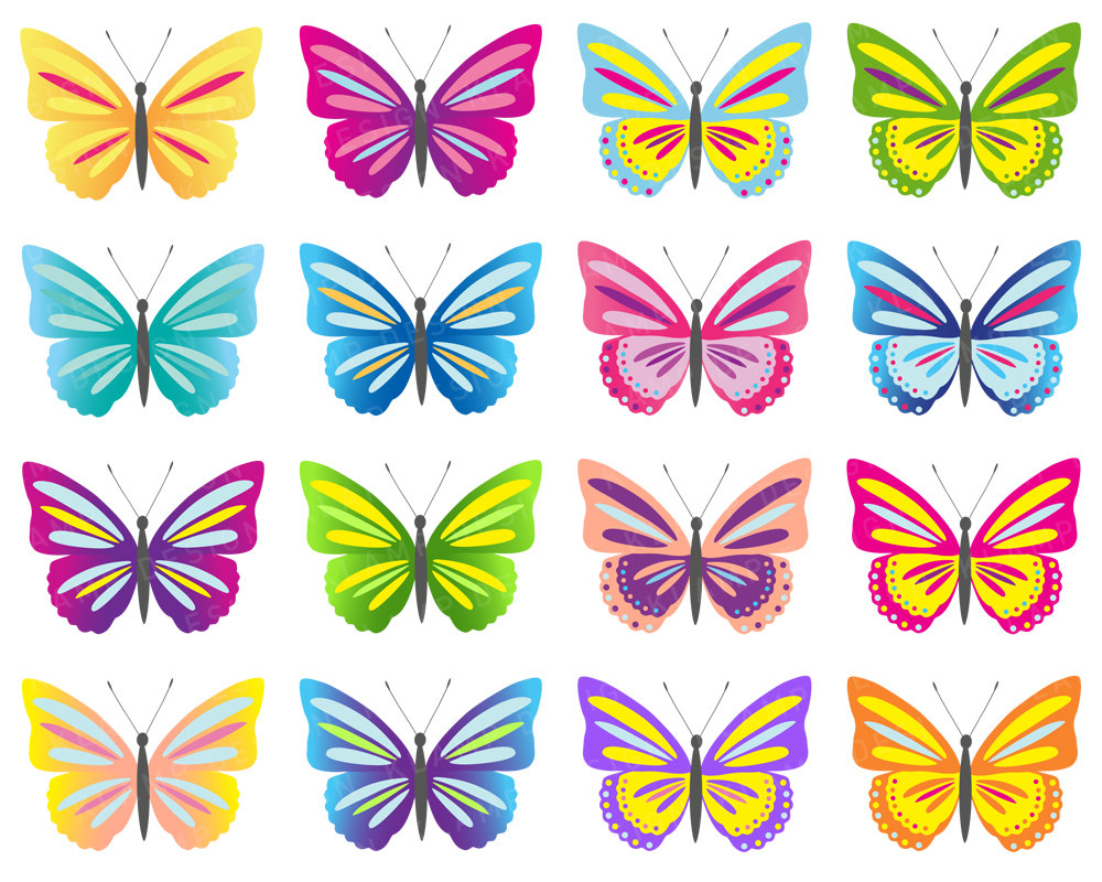Detail Buterfly Clipart Nomer 56