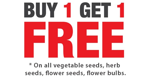 Detail Buy 1 Get 1 Free Png Nomer 13