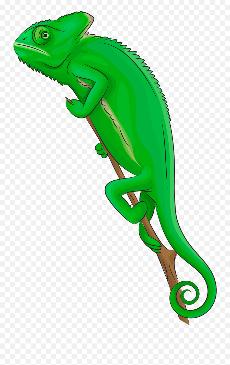 Detail Chameleon Emoji Nomer 3