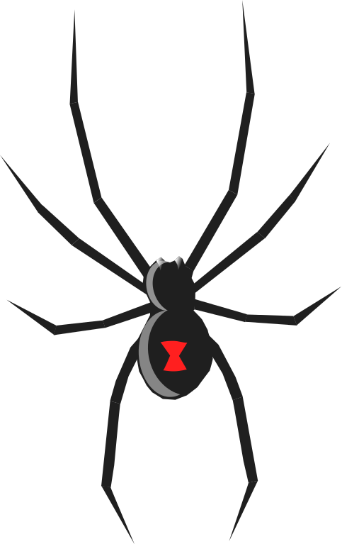 Detail Clipart Tarantula Nomer 4