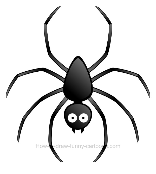 Detail Clipart Tarantula Nomer 8