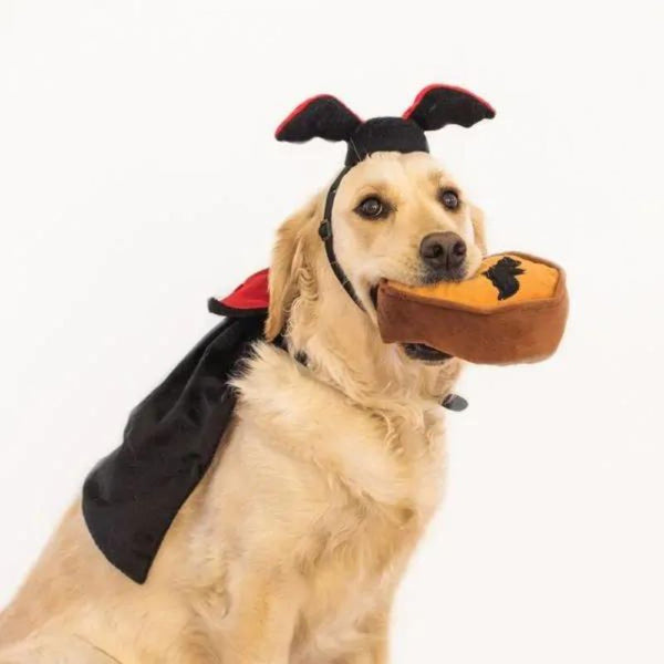 Detail Croissant Dog Costume Nomer 20