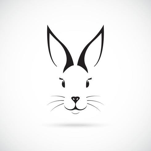 Detail Hase Mit Langen Ohren Nomer 8