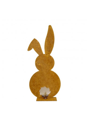Detail Hase Mit Langen Ohren Nomer 12