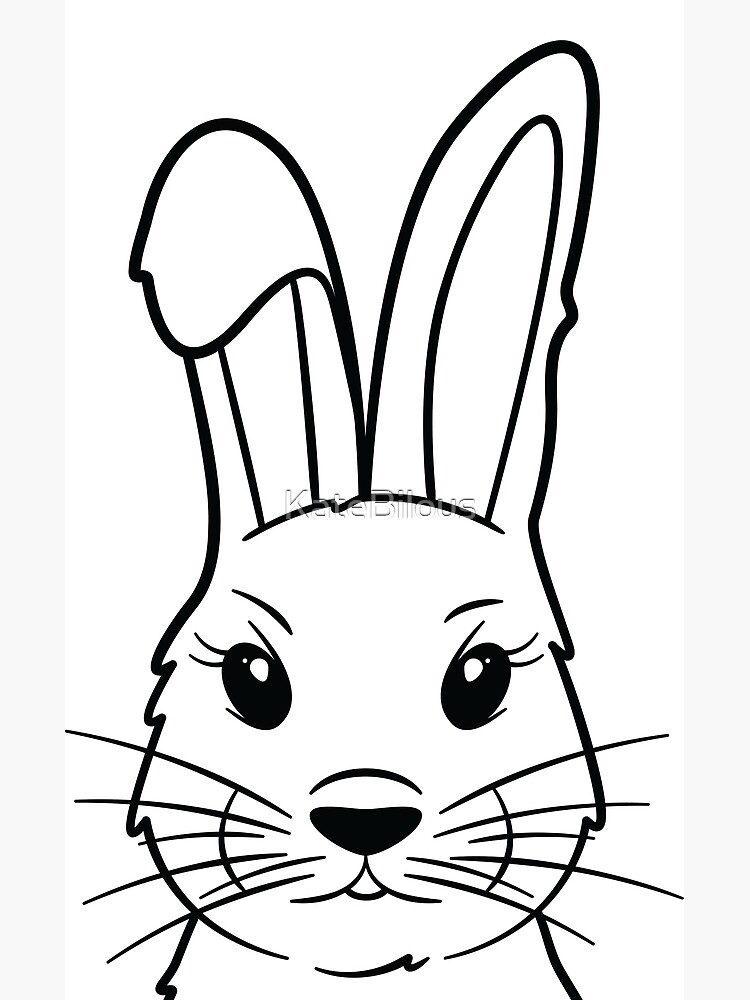 Detail Hase Mit Langen Ohren Nomer 13