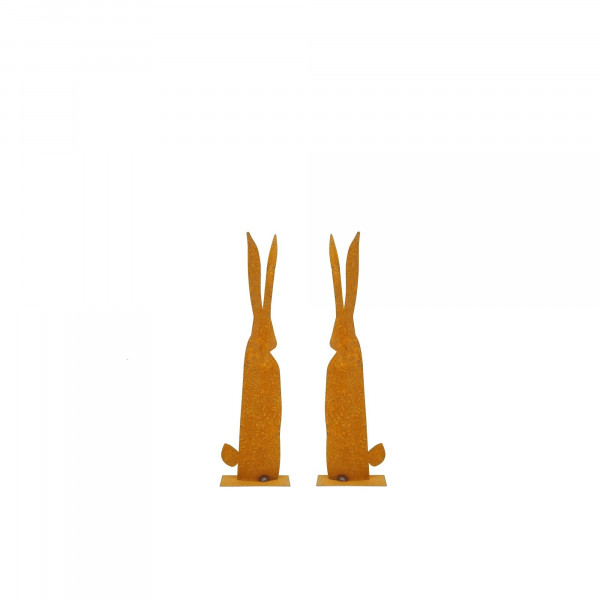 Detail Hase Mit Langen Ohren Nomer 2