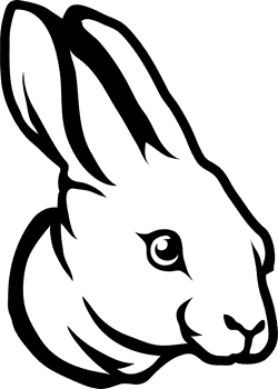Detail Hase Mit Langen Ohren Nomer 18