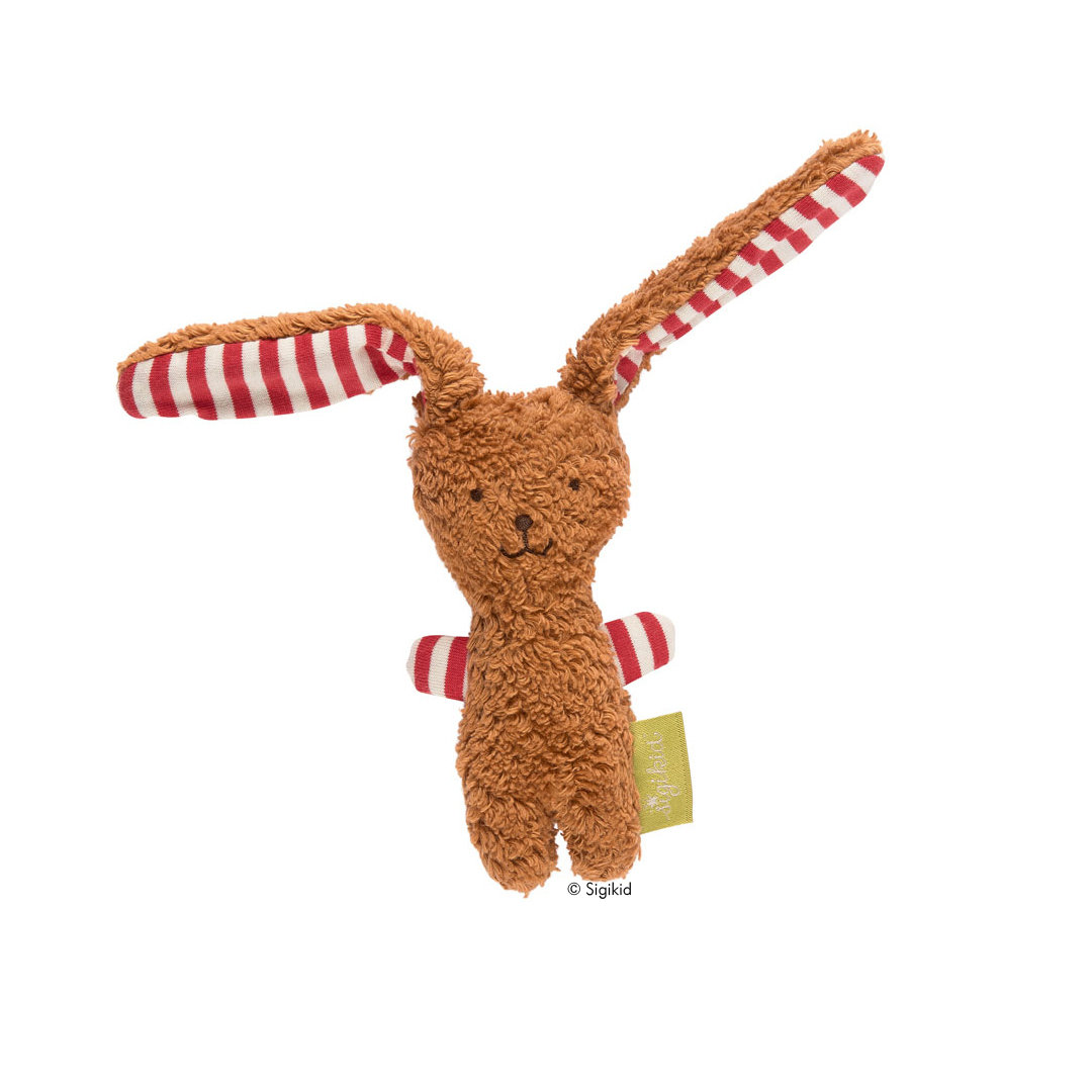 Detail Hase Mit Langen Ohren Nomer 20