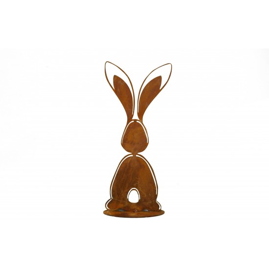 Detail Hase Mit Langen Ohren Nomer 5