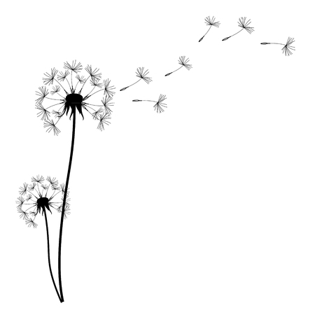 Detail Pusteblume Clipart Kostenlos Nomer 2