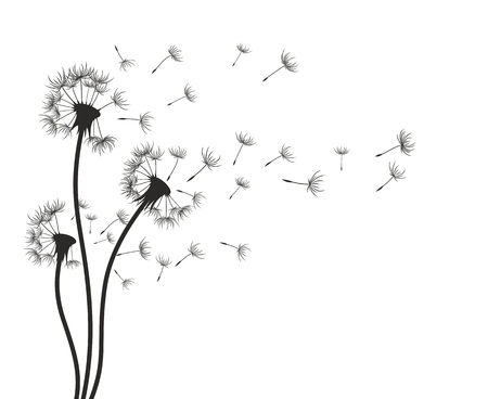 Detail Pusteblume Clipart Kostenlos Nomer 3