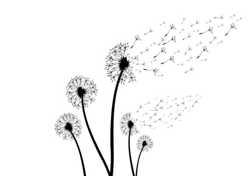 Detail Pusteblume Clipart Kostenlos Nomer 4