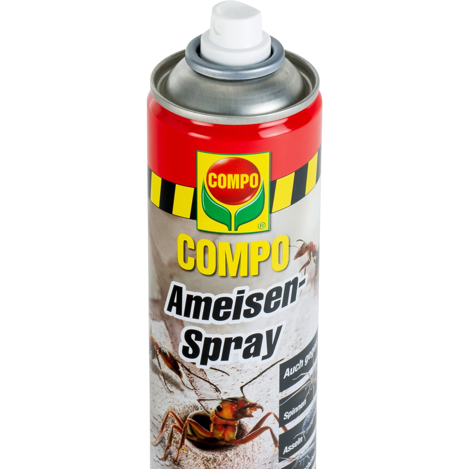 Detail Rossmann Ameisen Nomer 13