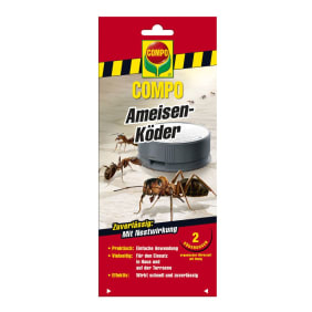 Download Rossmann Ameisen Nomer 21