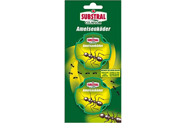 Detail Rossmann Ameisen Nomer 7