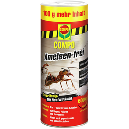 Detail Rossmann Ameisen Nomer 8