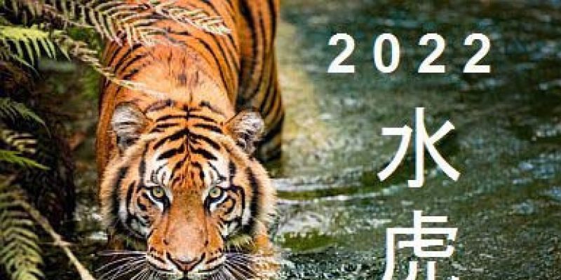 Detail Gambar 5 Harimau Melompat Nomer 33