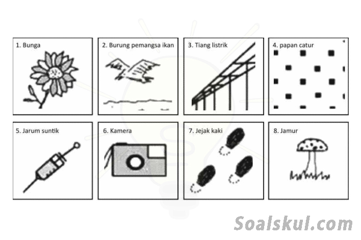 Detail Gambar 8 Kotak Psikotes Nomer 35