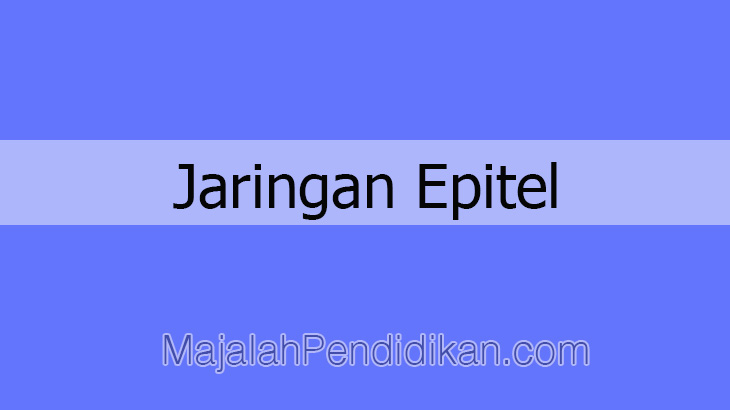 Detail Gambar 9 Jenis Jaringan Epitel Nomer 37