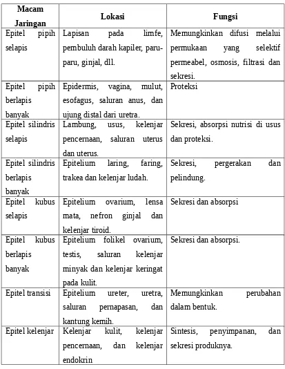 Detail Gambar 9 Jenis Jaringan Epitel Nomer 45