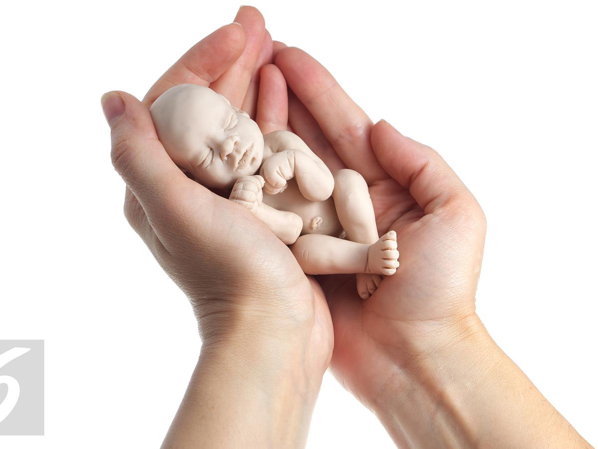 Detail Gambar Aborsi Bayi Nomer 2