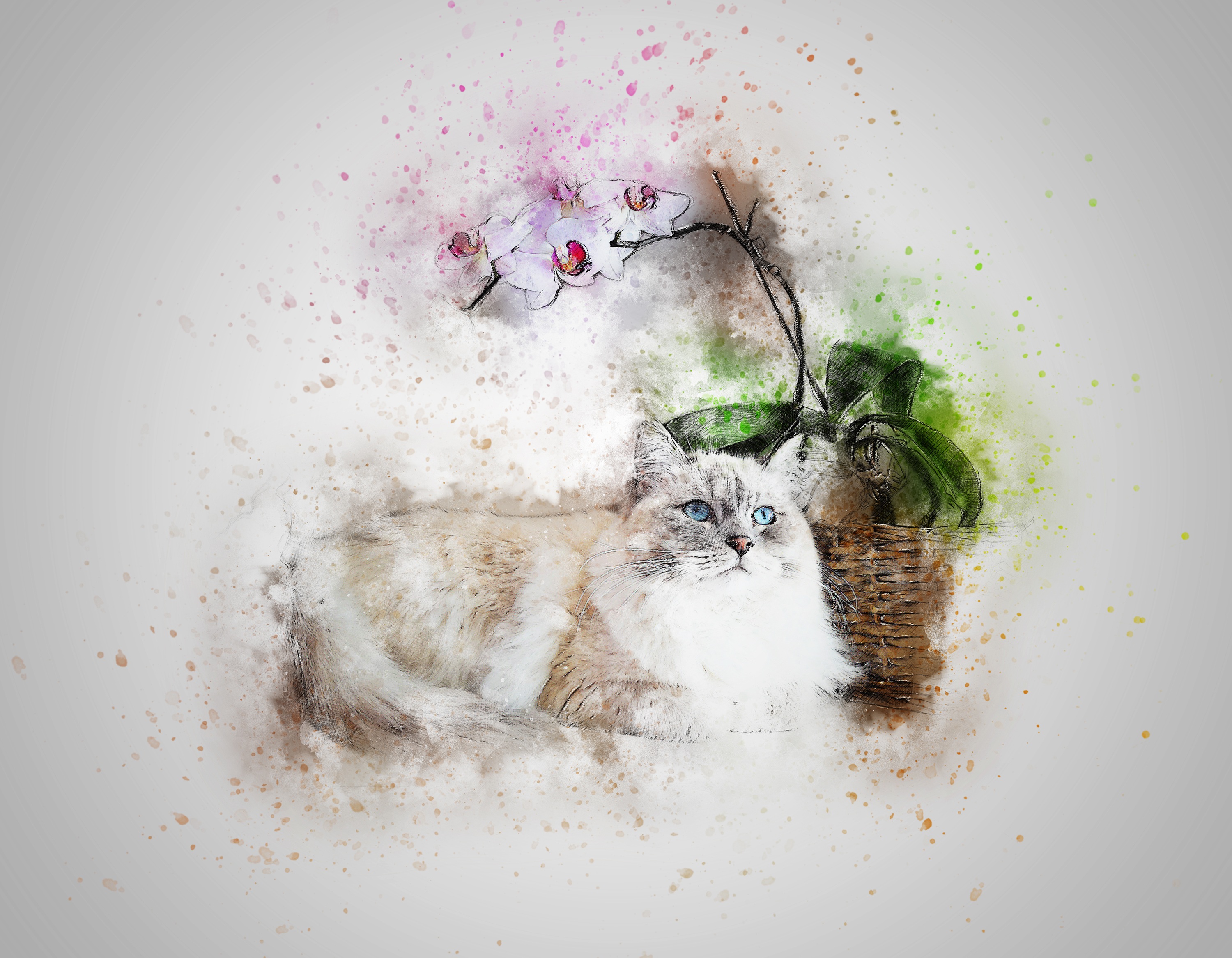 Detail Gambar Abstrak Kucing Nomer 14