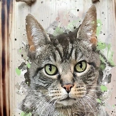 Detail Gambar Abstrak Kucing Nomer 35