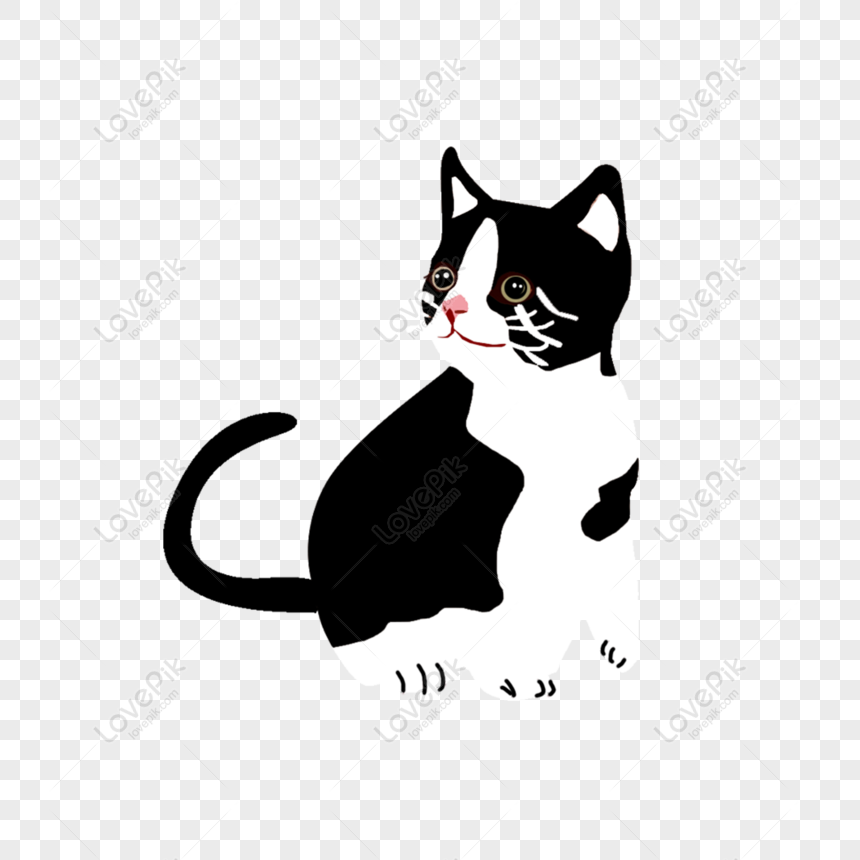 Detail Gambar Abstrak Kucing Hitam Putih Nomer 14