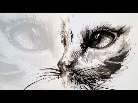 Detail Gambar Abstrak Kucing Hitam Putih Nomer 18