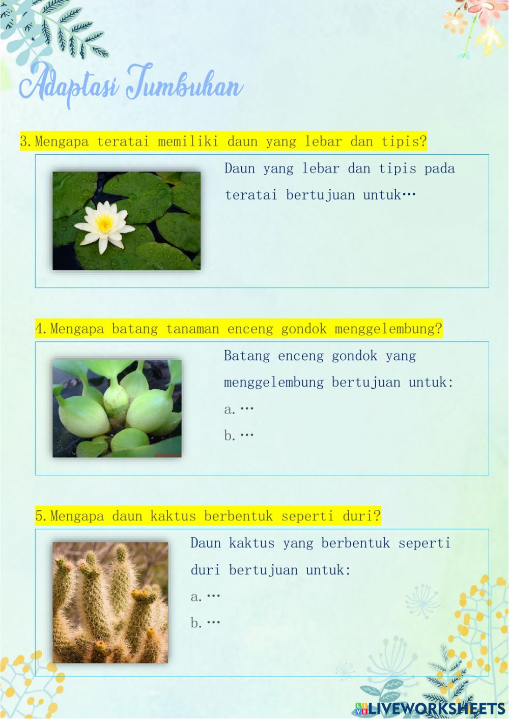 Detail Gambar Adaptasi Tumbuhan Nomer 44