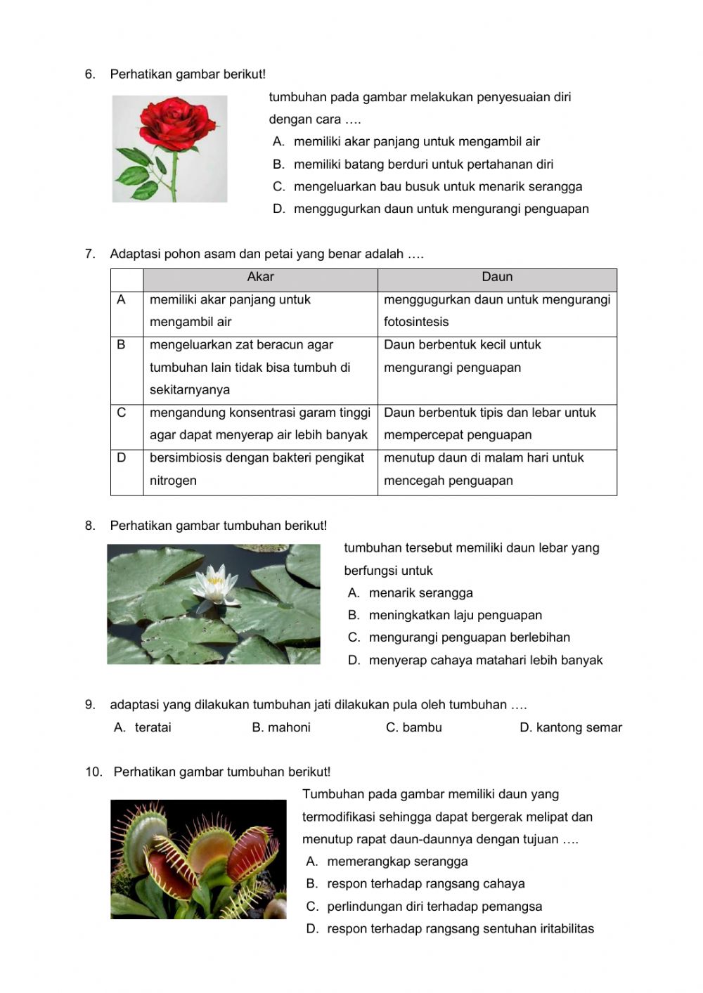 Detail Gambar Adaptasi Tumbuhan Nomer 9