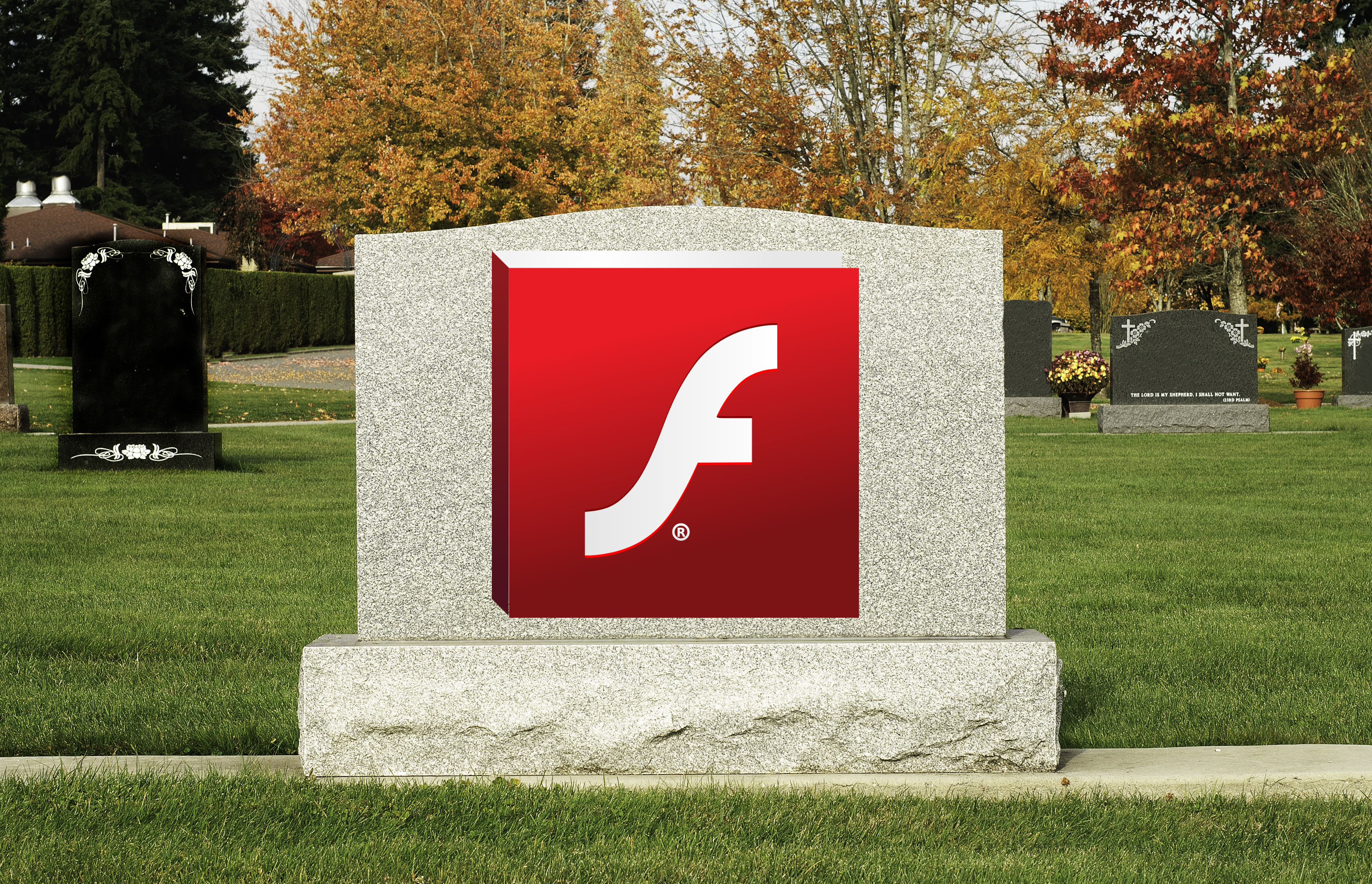 Detail Gambar Adobe Flash Nomer 42