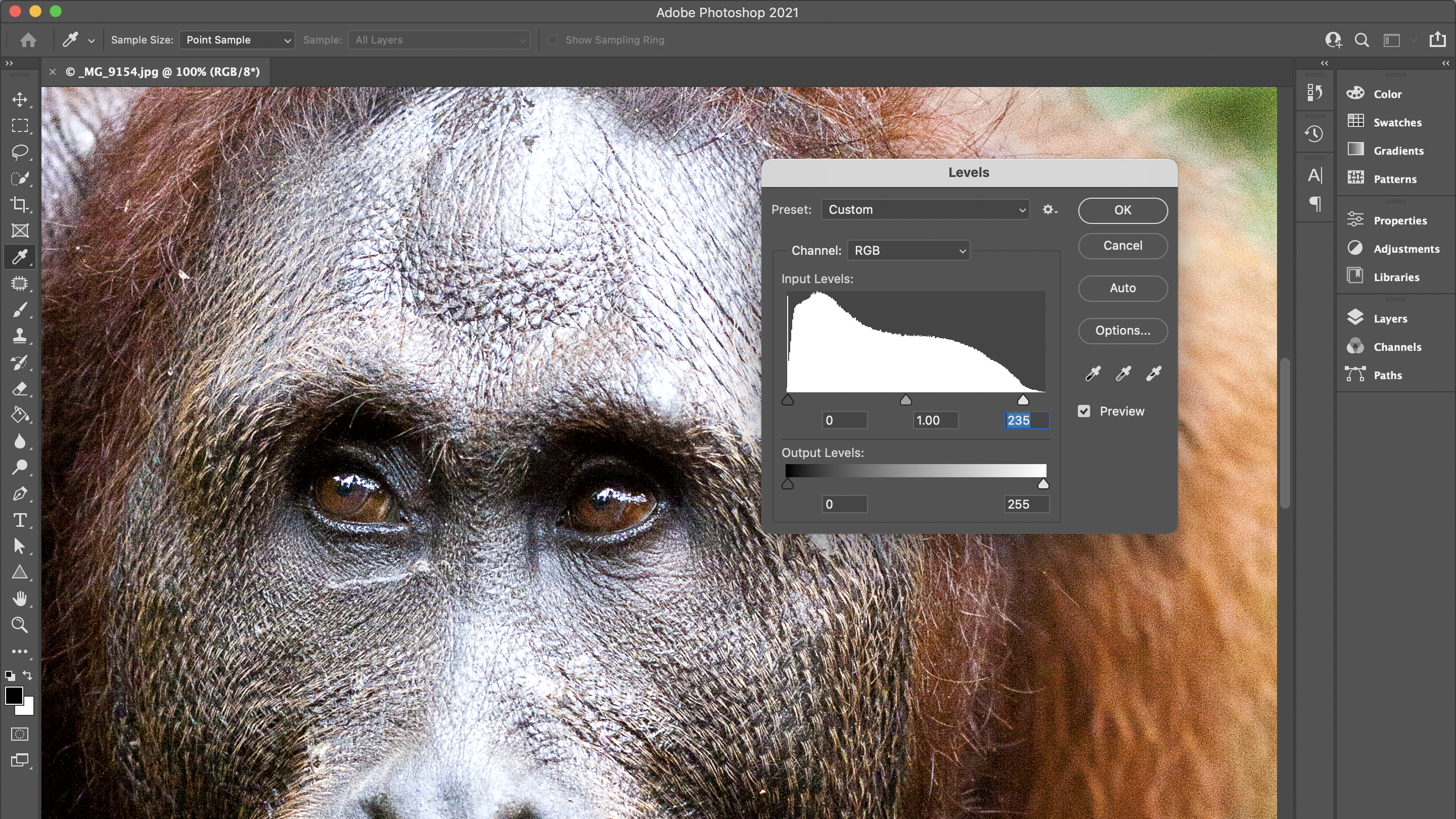 Detail Gambar Adobe Photoshop Nomer 11