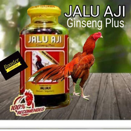 Detail Gambar Adu Ayam Bangkok Nomer 44