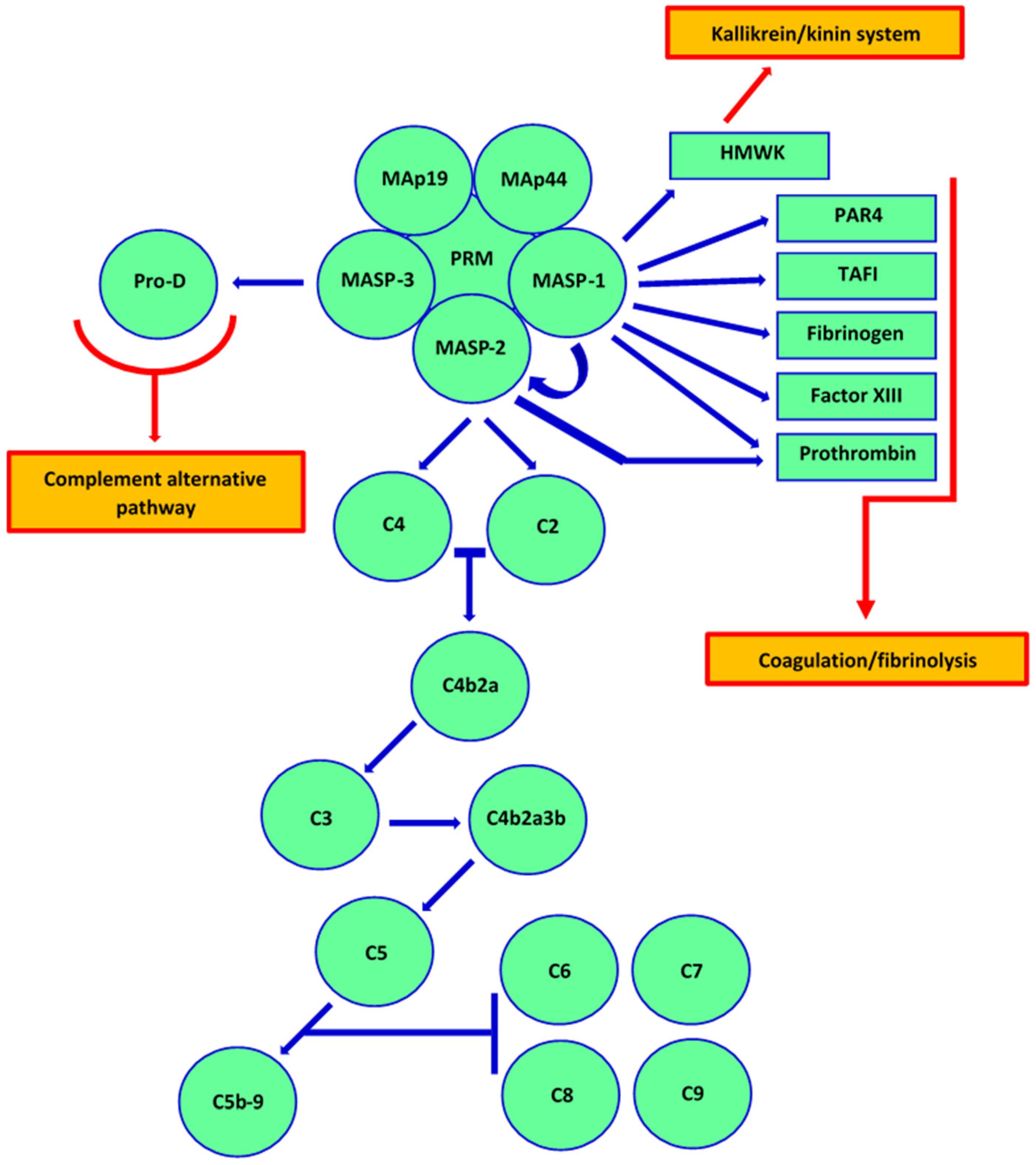 Detail Mutation Mind Map Nomer 8