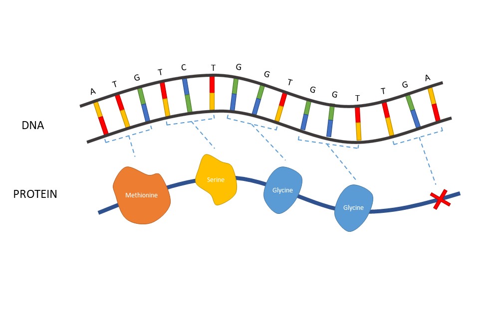 Detail Mutation Mind Map Nomer 11