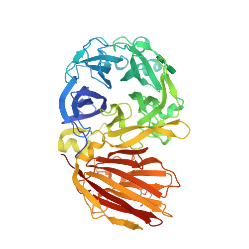 Detail Mutation Mind Map Nomer 13